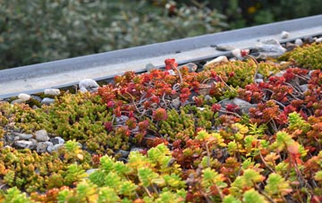 the cost of Frampton End green roof installation